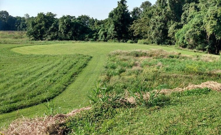 Towosahgy State Historic Site, Missouri, USA